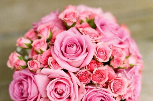 bouquet, roses, beautiful flowers, flowers, flower arrangement, pink flowers, flower bouquet, wedding bouquet, bridal bouquet, closeup, bouquet, bouquet, bouquet, bouquet, bouquet, flower background, flower wallpaper, flowers, flowers, flowers, nature, flowers, flower bouquet, flower bouquet