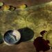 adventure, treasure map, old world map, pirates, pirate treasure, map, compass, navigation, navigate, treasure hunt, treasure hunting, pirate map, adventure, adventure, adventure, treasure map, pirates, pirates, map, map, map, map, map, treasure hunt