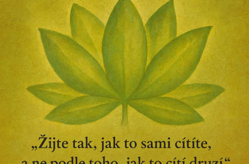 Žijte tak, jak to sami cítíte, a ne podle toho, jak to cítí druzí.