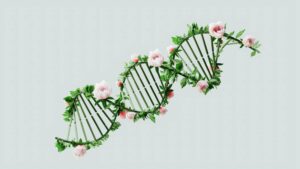 Kromě výživy může DNA analýza poskytnout informace o genetických predispozicích A creative representation of a DNA helix using flowers and leaves, symbolizing nature and biotechnology.