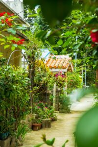 A serene and picturesque garden pathway with lush greenery and vibrant flowers in Okinawa, Japan.