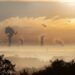 industry, sunrise, fog, germany, factory, ruhr area, money, environment, exhaust, smoke, environmental protection, environmental pollution, chimney, highway, evening sky, disposal, kamp lintfort, nature, power plant, air, pollution, heaven, duisburg, smog, industrial plant, steam, poisonous průmysl, východ slunce, mlha, továrna, Porúří, peníze, životní prostředí, výfukové plyny, kouř, ochrana životního prostředí, znečištění životního prostředí, komín, dálnice, večerní obloha, likvidace, Kamp-Lintfort, příroda, elektrárna, vzduch, znečištění, nebe, Duisburg, smog, průmyslový závod, pára, jedovatý