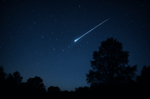 Meteor na noční obloze nad siluetou stromů během listopadových meteorických rojů.