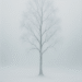 Osamělá bříza v zimní mlze, jemná tichá krajina bez lidí.