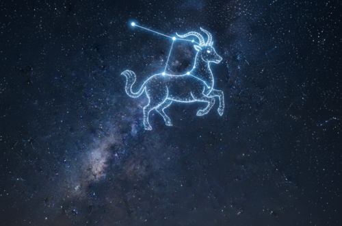 ozoroh – mytologický mořský kozel (Sea-Goat). Vidíš ten rybí ocas? To je přesně to, co z něj dělá toho drsňáka zvěrokruhu. Kozí předek mu dává sílu vyšplhat na nejvyšší skály (kariéra, ambice, úspěch), ale rybí zadek mu dává přístup do hlubin emocí a intuice.