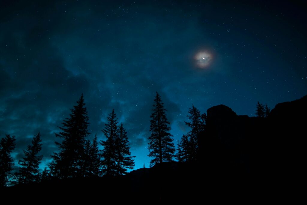 A mesmerizing night sky with crescent moon and starry backdrop over silhouetted pine trees.