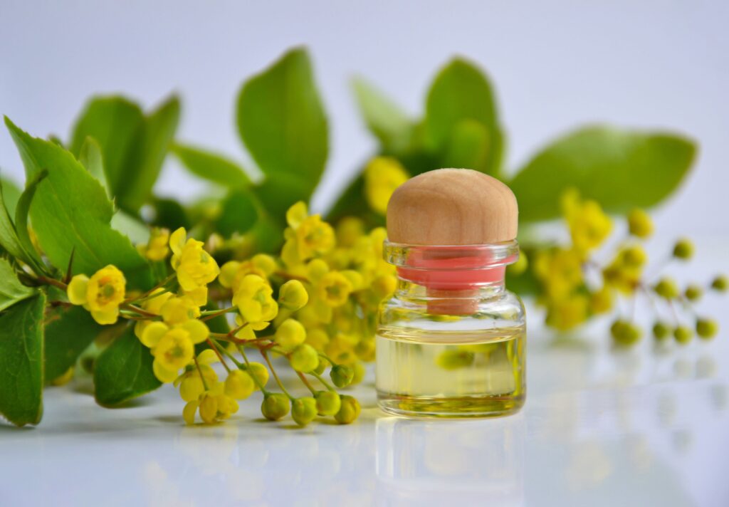 Zázračný svatojánský třezalkový olej (Janův olej) Aromatic essential oil in a glass bottle with fresh yellow flowers and green leaves.